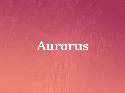 Aurorus Coaching en Opleiding